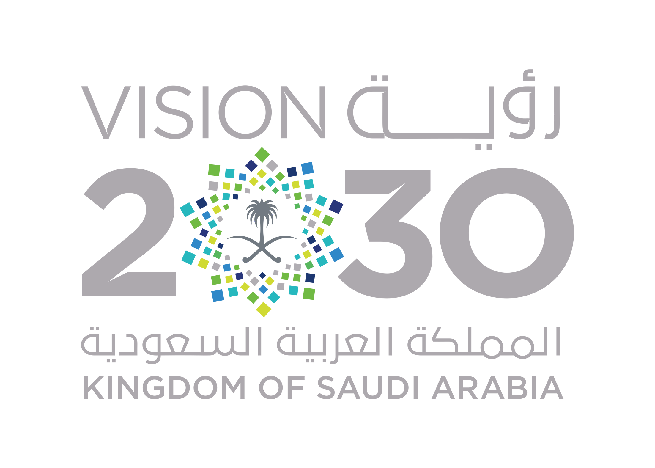 رؤية المملكة